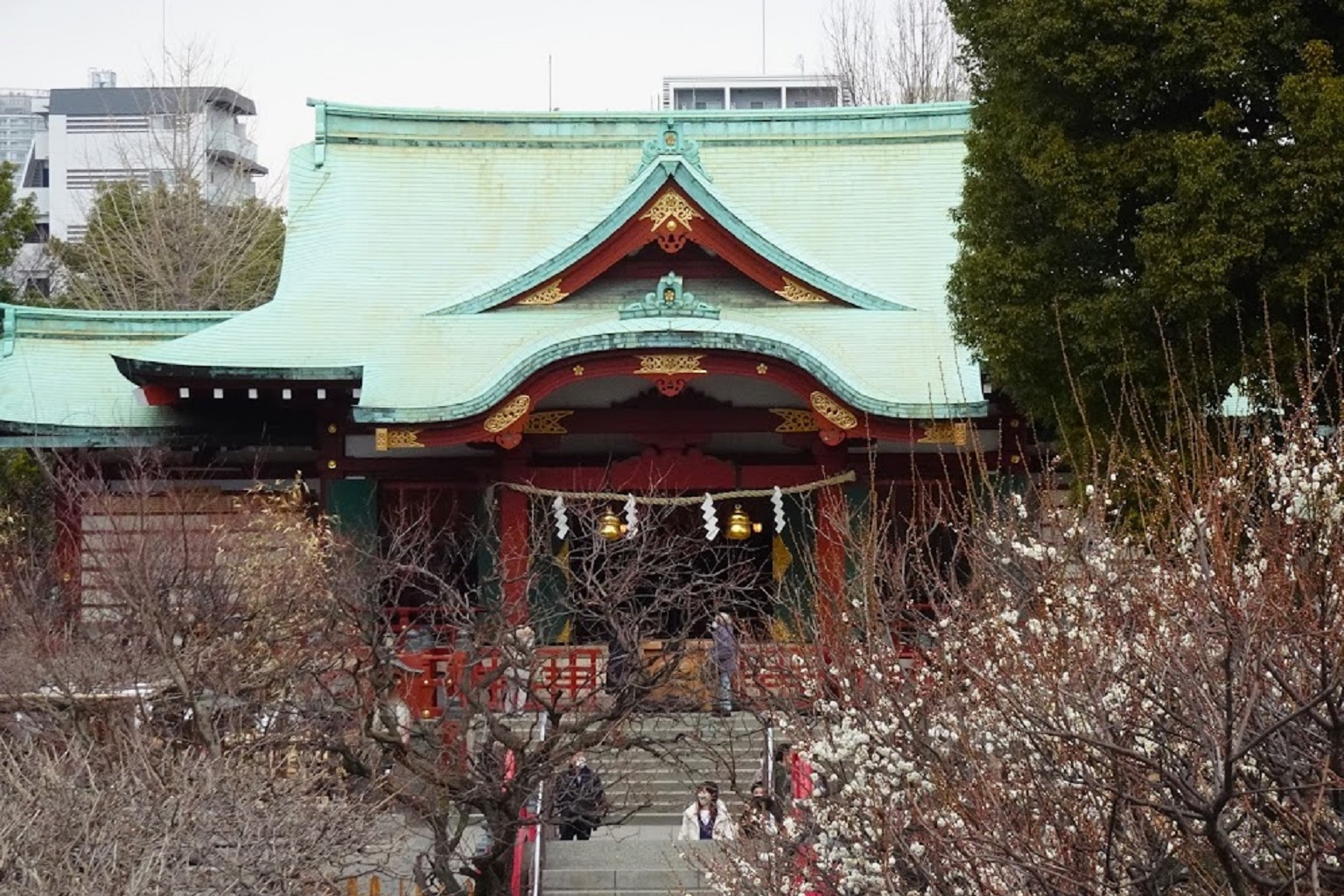 DSC09048-1